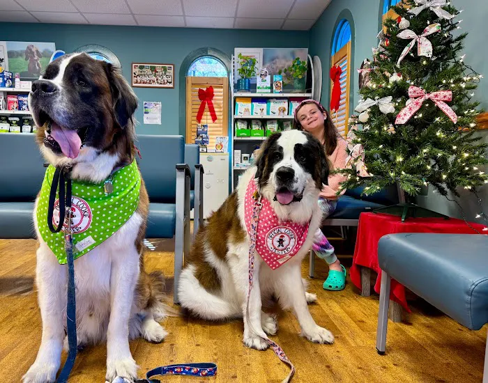 Ambassador Animal Hospital 6