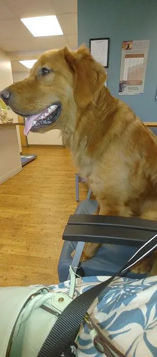 Ambassador Animal Hospital 3