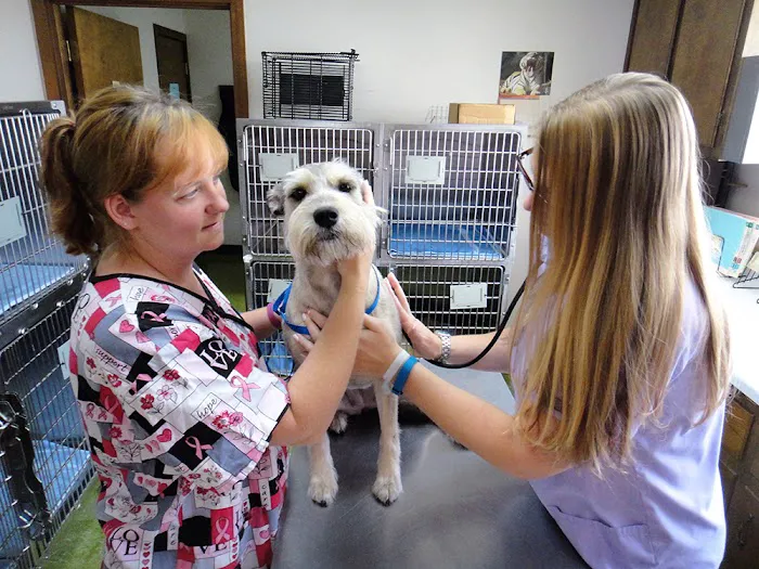 Cumberland Animal Hospital Fayetteville 12