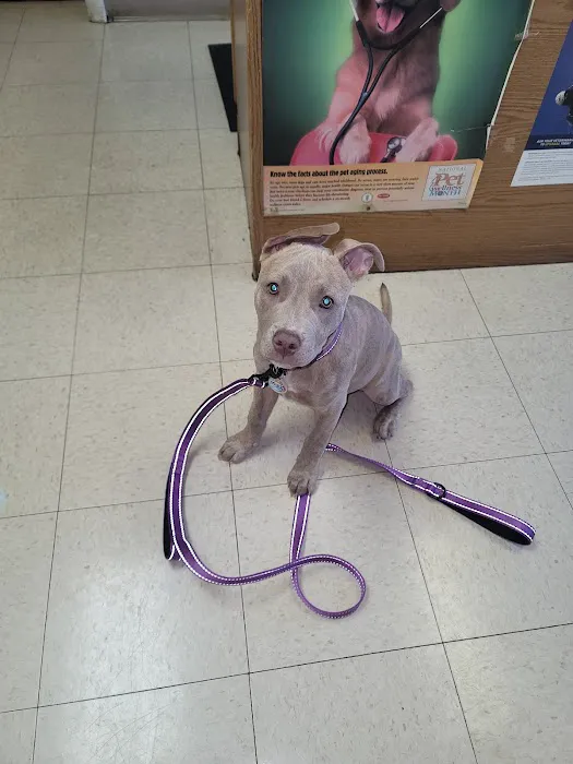 Reilly Road Animal Hospital 2
