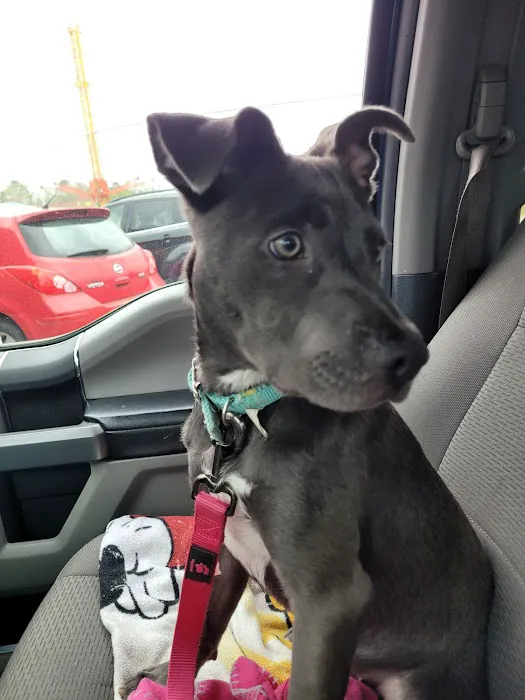 Reilly Road Animal Hospital 4