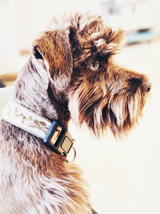 Reilly Road Animal Hospital 6