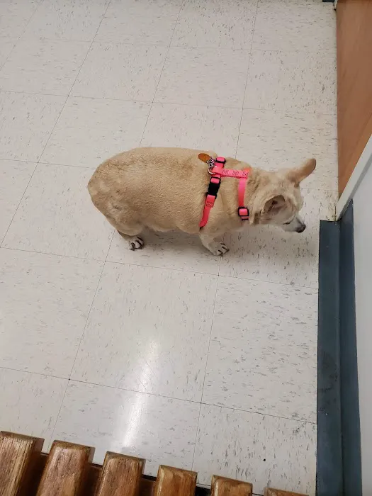 Cliffdale Animal Hospital 10