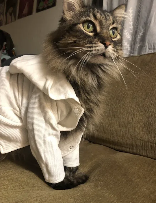 Cliffdale Animal Hospital 3