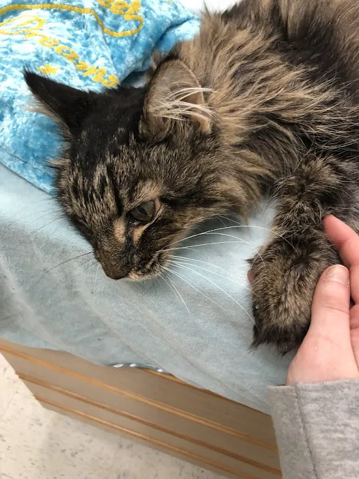 Cliffdale Animal Hospital 2