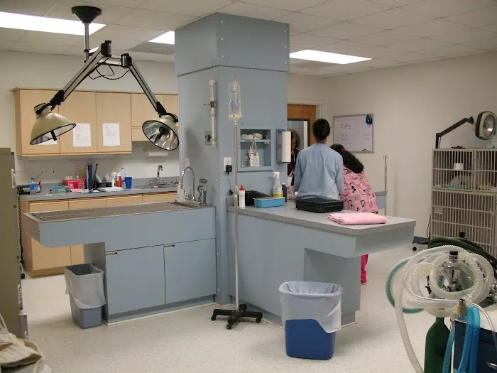 Cliffdale Animal Hospital 6