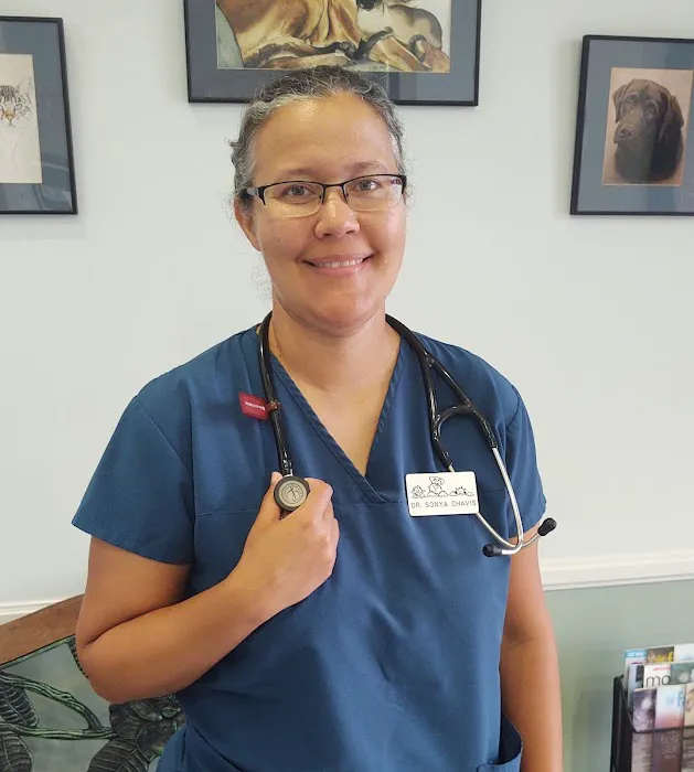 Cliffdale Animal Hospital 4