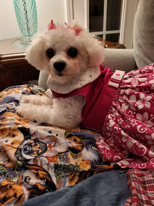 Crepe Myrtle Animal Hospital 2
