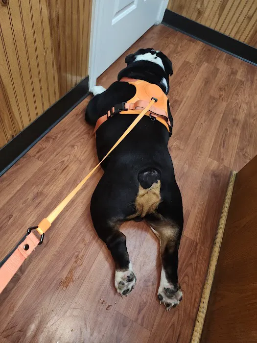 Stage Road Animal Hospital 9