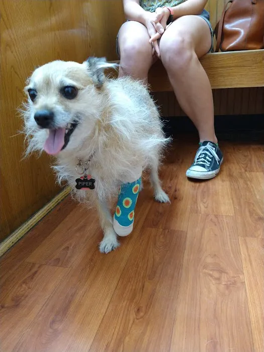 Stage Road Animal Hospital 5