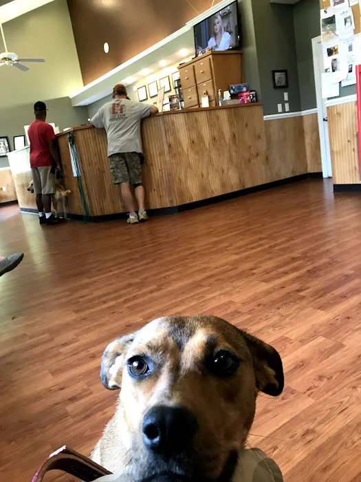 Stage Road Animal Hospital 4
