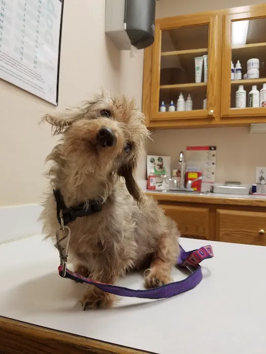 Stage Road Animal Hospital 6