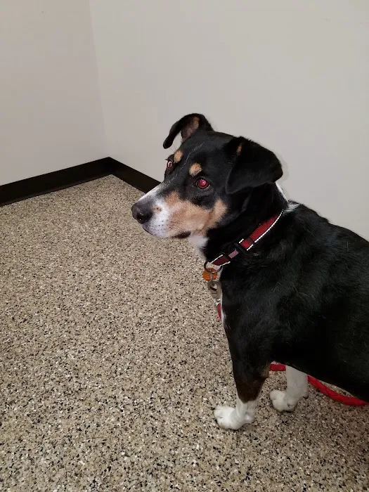 Dunn Animal Hospital PA 2