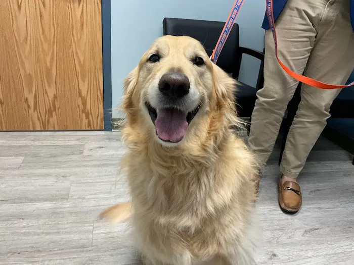 5-Points Animal Hospital 7