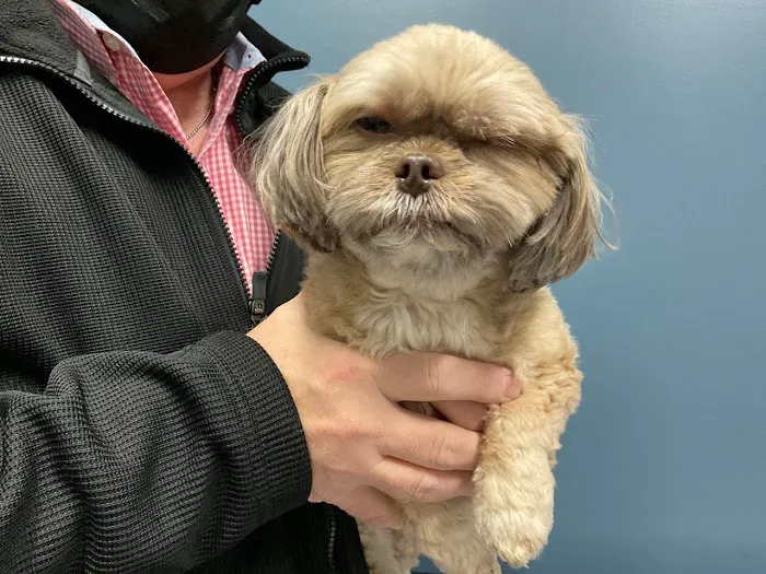5-Points Animal Hospital 9
