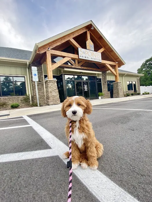 5-Points Animal Hospital 4