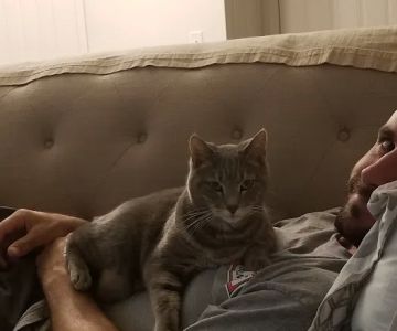 Elder Pet Care