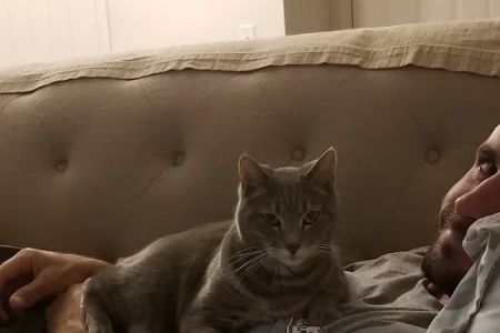 Elder Pet Care