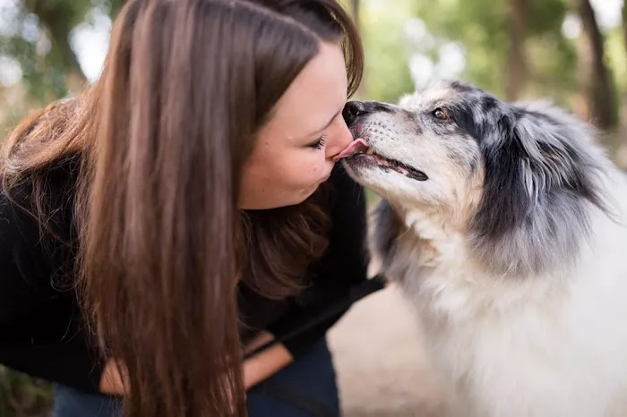 City Park Animal Clinic 12
