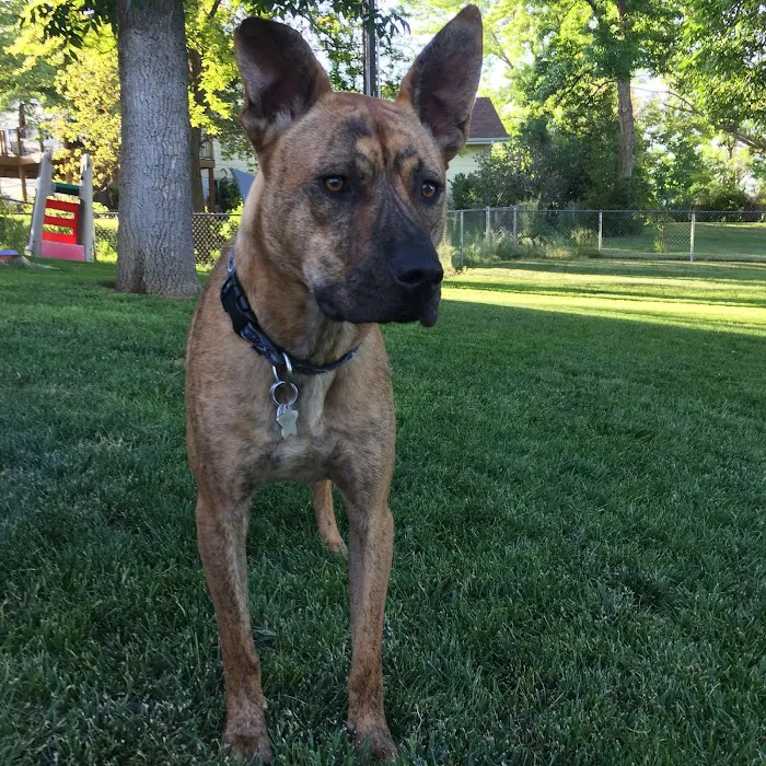 City Park Animal Clinic 12