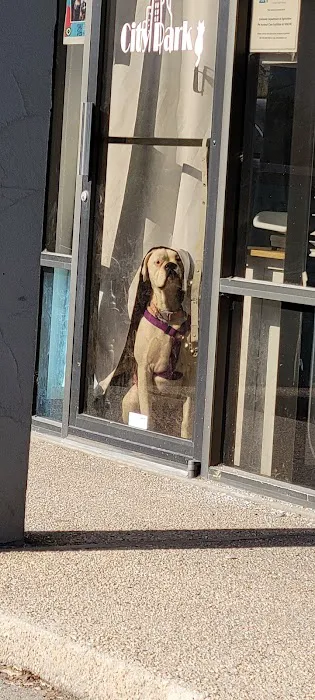 City Park Animal Clinic 12