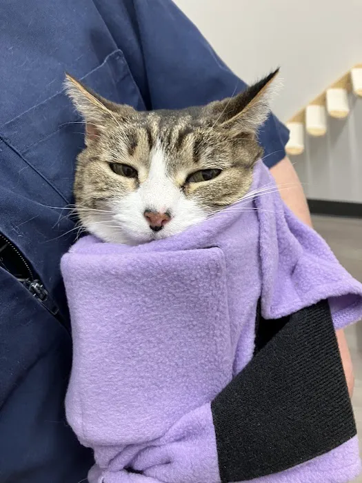 Mulnix Animal Clinic 4