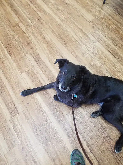 Mulnix Animal Clinic 6