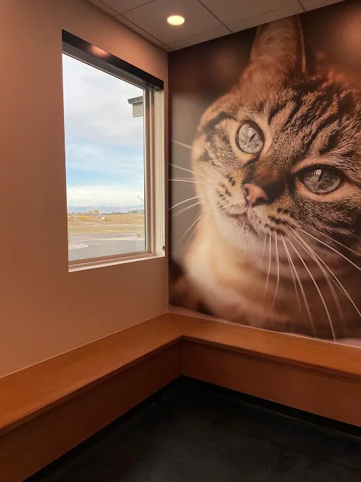 Northern Colorado Veterinary Center 7