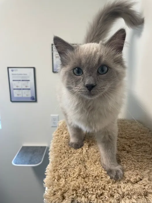 Northern Colorado Veterinary Center 9