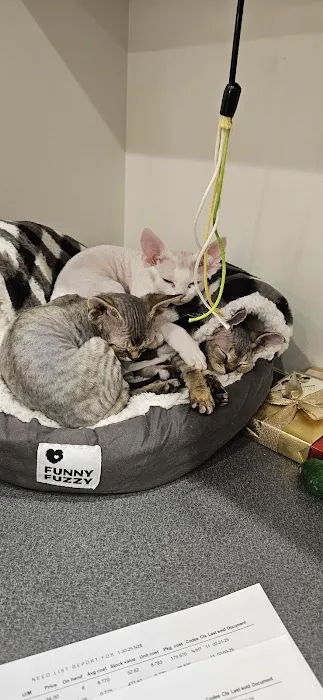 Northern Colorado Veterinary Center 4
