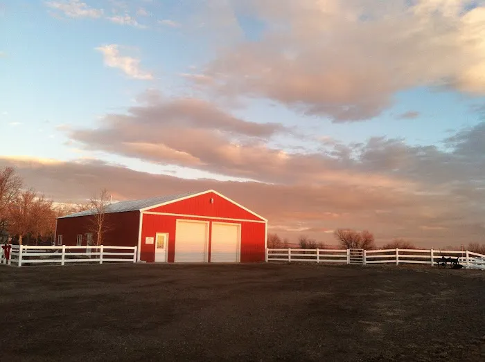 Animal Medical Services of the Rockies, PC 1
