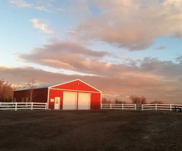 Animal Medical Services of the Rockies, PC