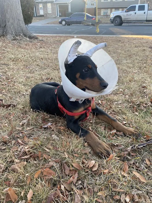 Powell Veterinary Service, Inc. 4