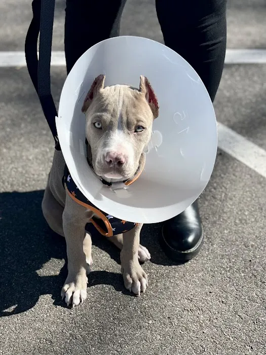Powell Veterinary Service, Inc. 3