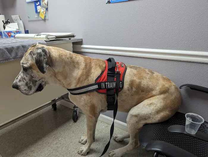 Ridgewood Animal Hospital 12