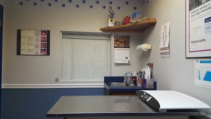 Ridgewood Animal Hospital 12