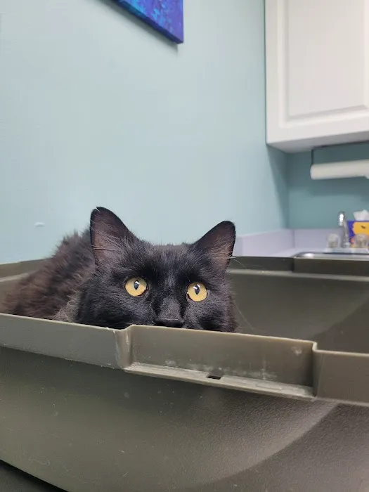 High Country Veterinary Hospital 12