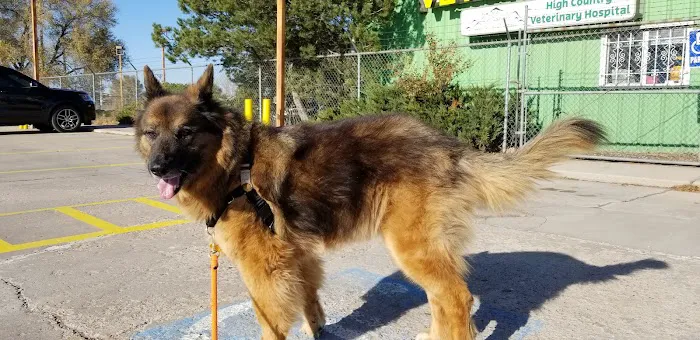 High Country Veterinary Hospital 12