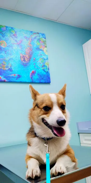 High Country Veterinary Hospital 12