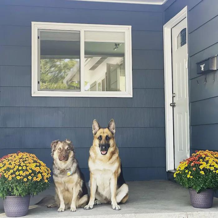 High Country Veterinary Hospital 12