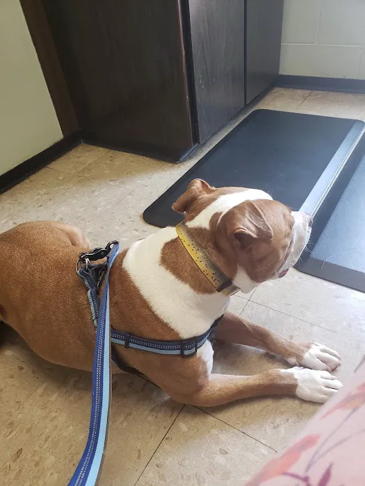 Clearview Animal Hospital 12