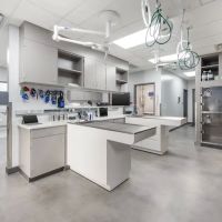 Livewell Animal Urgent Care of Colorado Springs ico