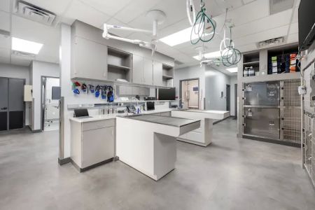 Livewell Animal Urgent Care of Colorado Springs