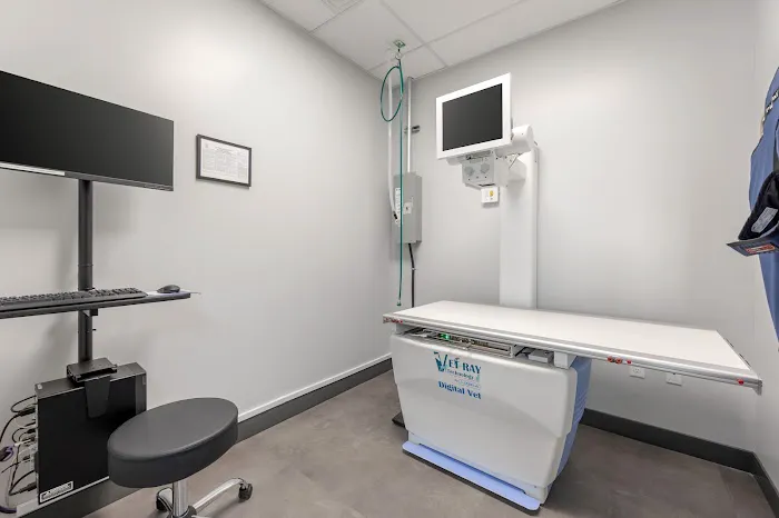 Livewell Animal Urgent Care of Colorado Springs 12