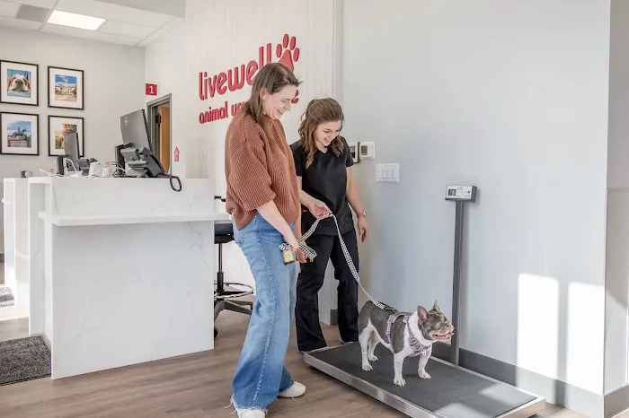 Livewell Animal Urgent Care of Colorado Springs 12