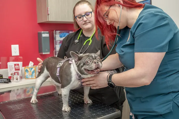 Livewell Animal Urgent Care of Colorado Springs 12