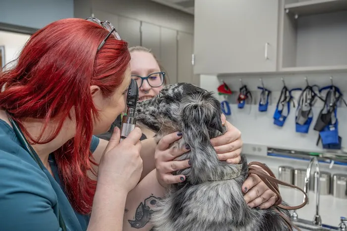Livewell Animal Urgent Care of Colorado Springs 12