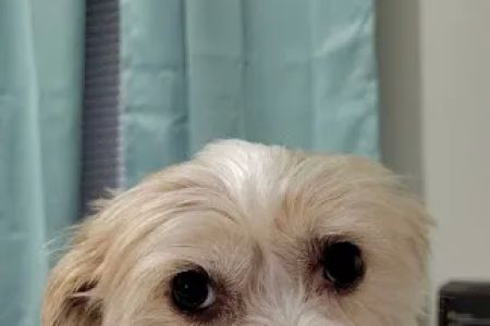 Vetco