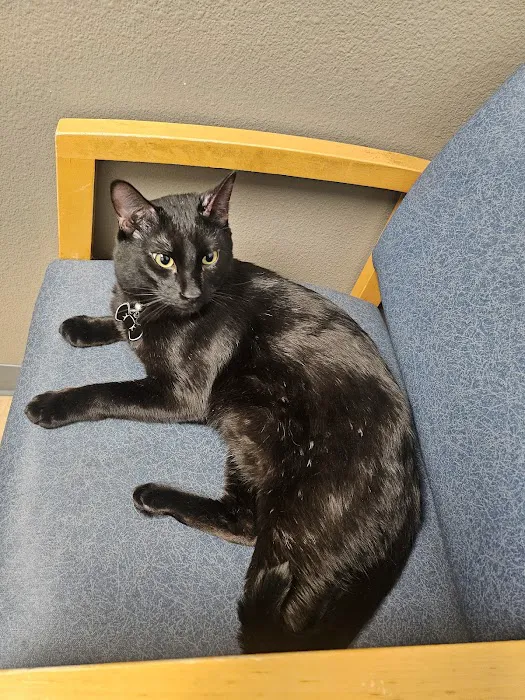 Animal Hospital of Colorado Springs 12