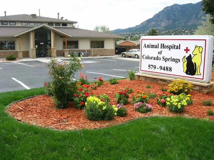 Animal Hospital of Colorado Springs 12